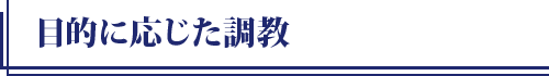 目的に応じた調教