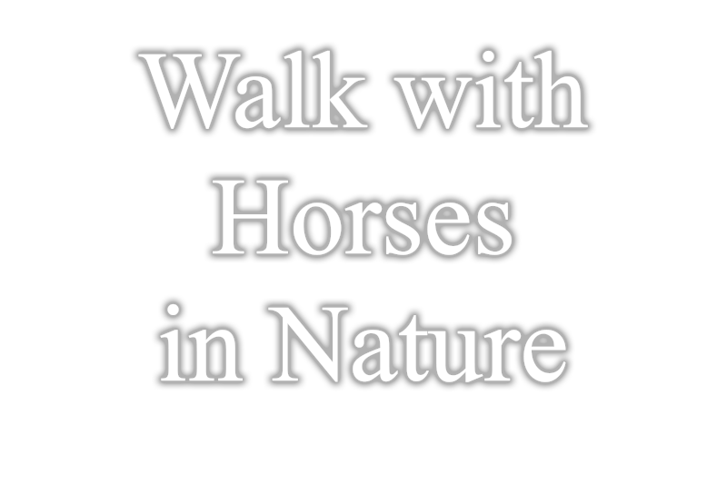 Walk with Horses in Nature