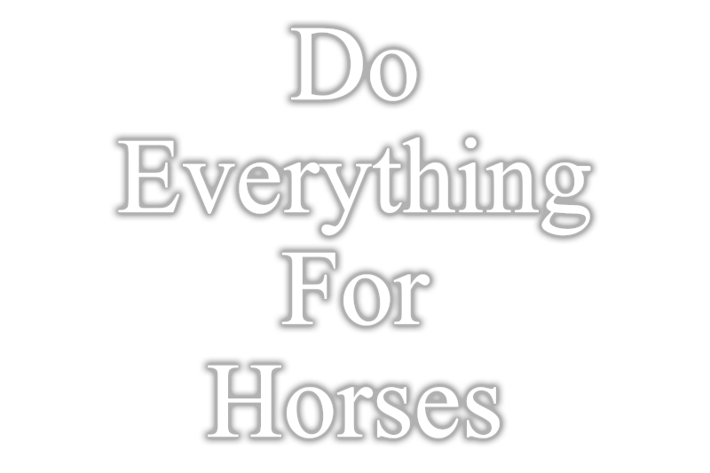Do Everything For Horses